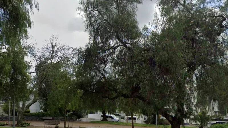 Foto da atividade Jardim dos Namorados